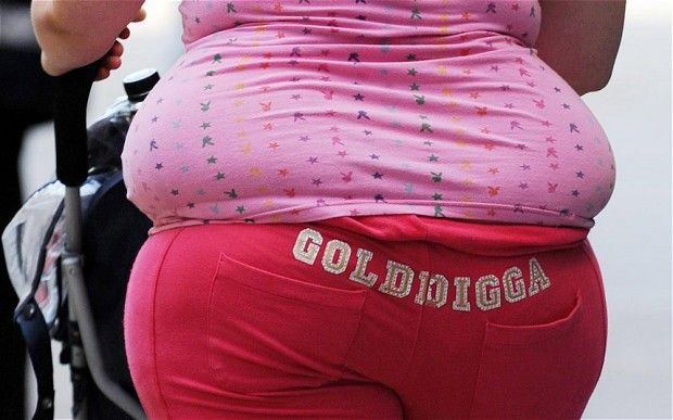 Vědci zjistili, že obezita je nevratný proces