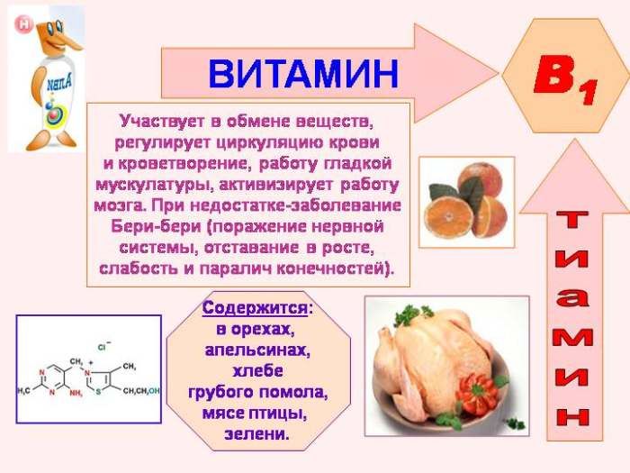 Vlastnosti vitaminu B1