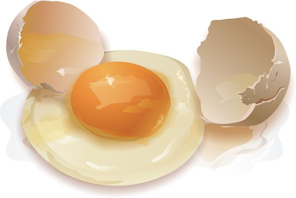 působení vaječné stravy